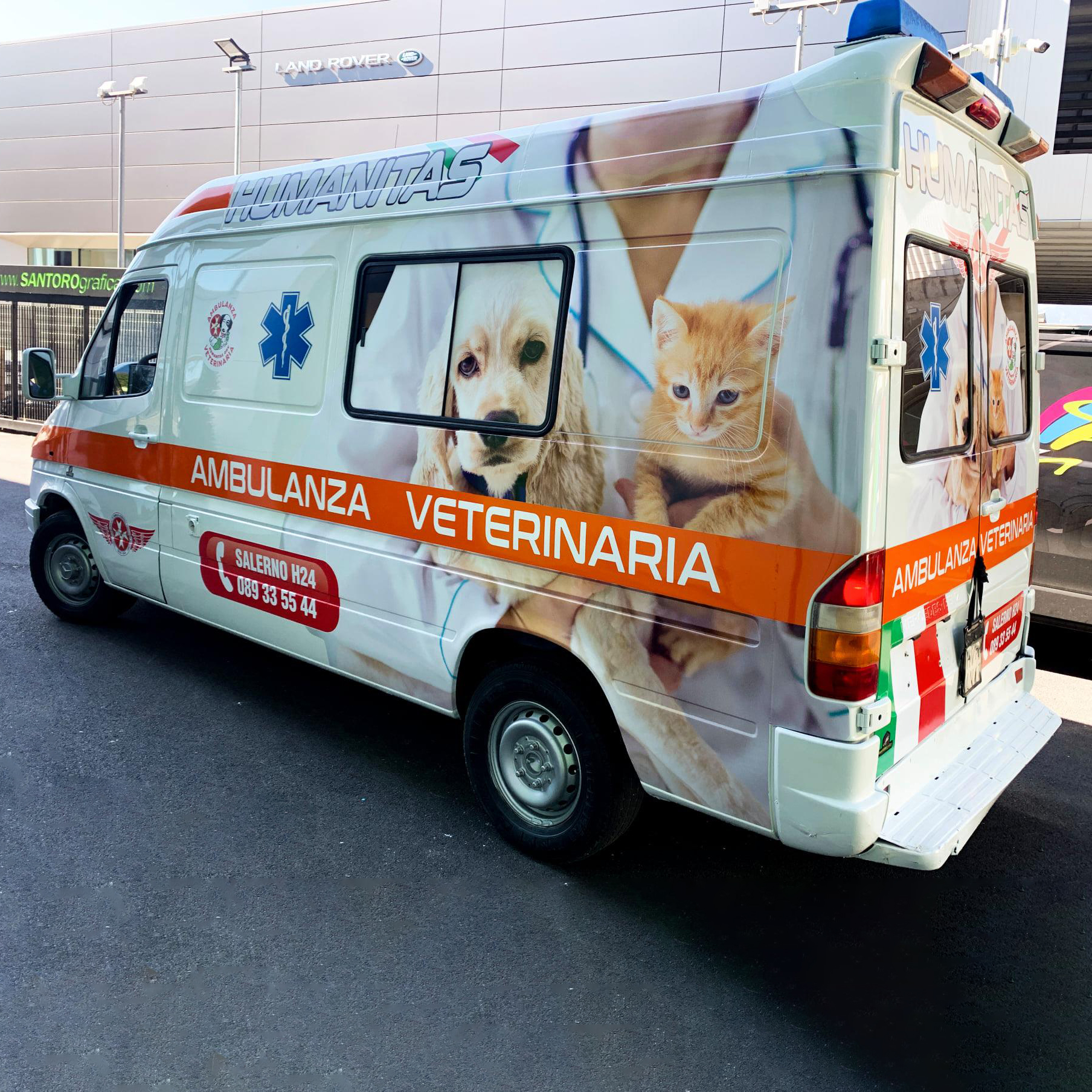 decorazione humanitas ambulanza veterinaria