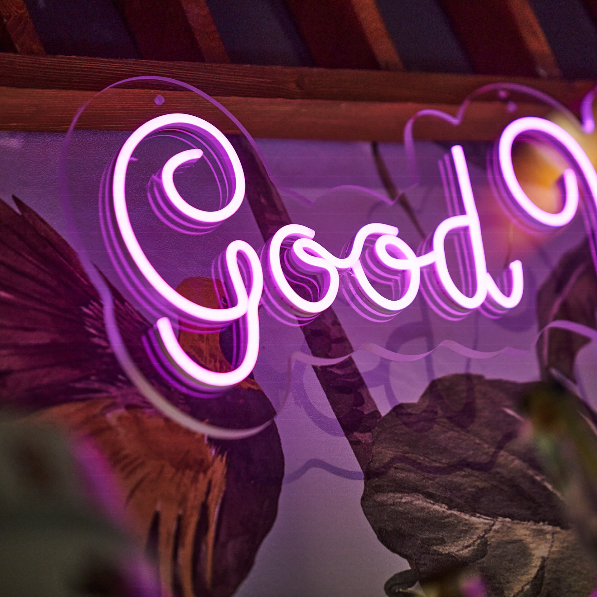 neon light good insegne personalizzate a led